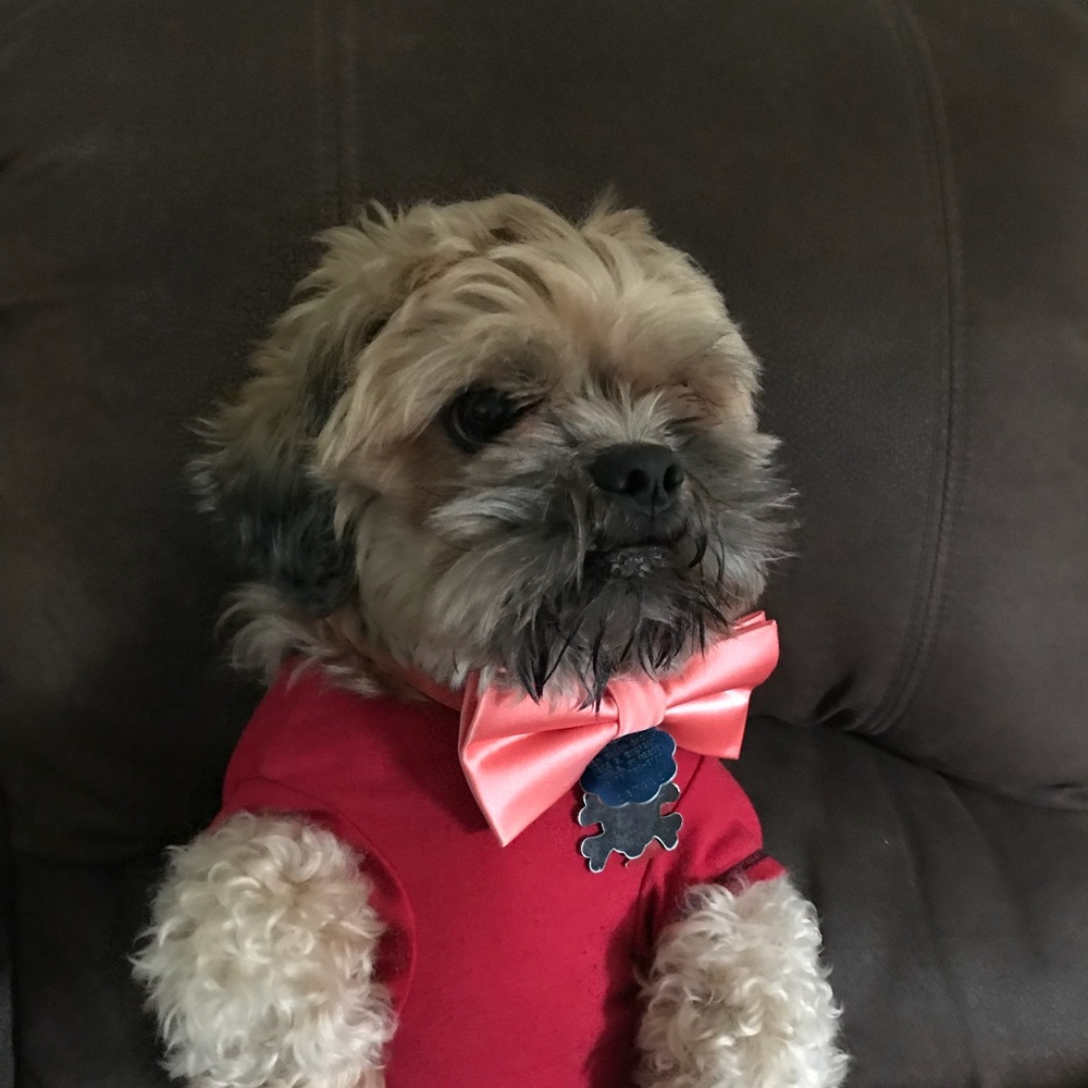 Meet your Posher, Tyler